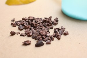 Nibs de Cacao 