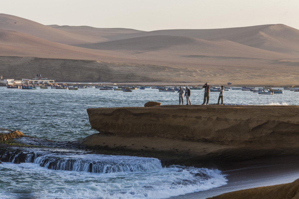 Lobos de mar, parapente y más en la Reserva Nacional de Paracas