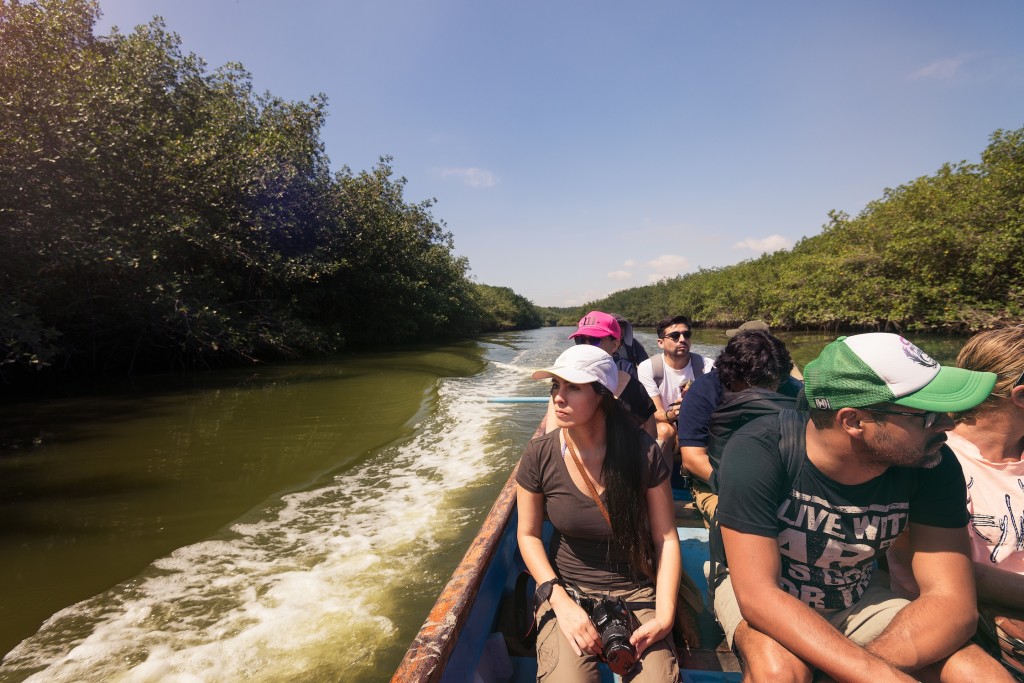 Viaja a los manglares, al bosque seco y al encuentro de las ballenas jorobadas