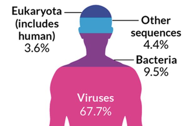 El viroma humano: el increíble beneficio que nos dan los virus