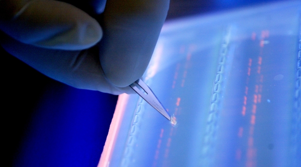 No, el cáncer no ocurre por mala suerte