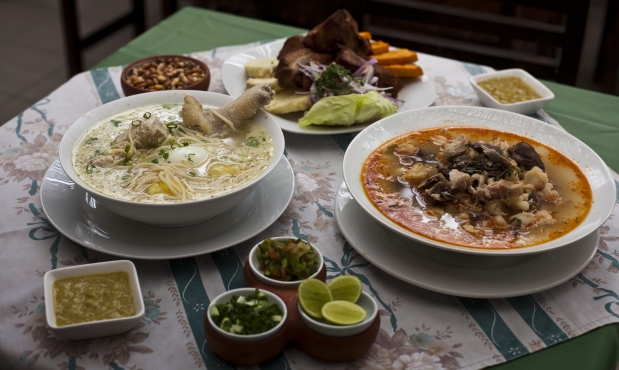 Escogemos lo que comemos con el intestino grueso