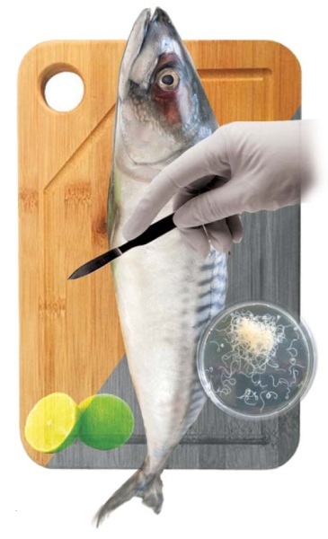 Anisakis en el ceviche