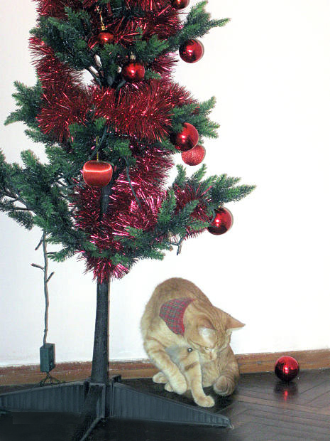 Mi mascota y la Navidad 2: Cuidado que se coma o electrocute con los adornos