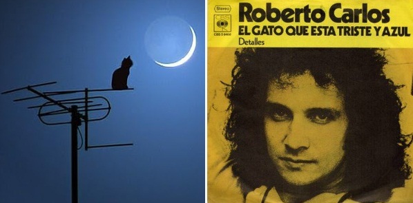 Roberto Carlos y por qué el gato era de color azul