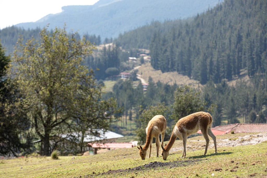 Foto: Karina Mendoza / PROMPERÚ