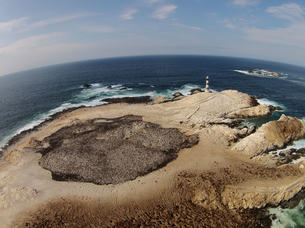 Foto: Punta Coles / Sernanp 