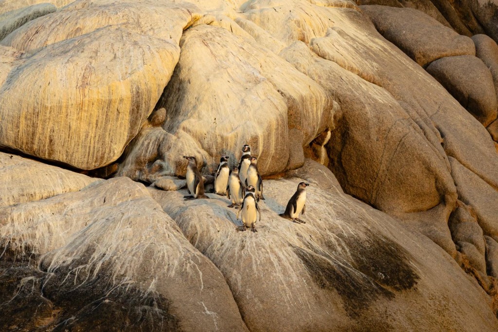 Foto: Karina Mendoza / PROMPERÚ