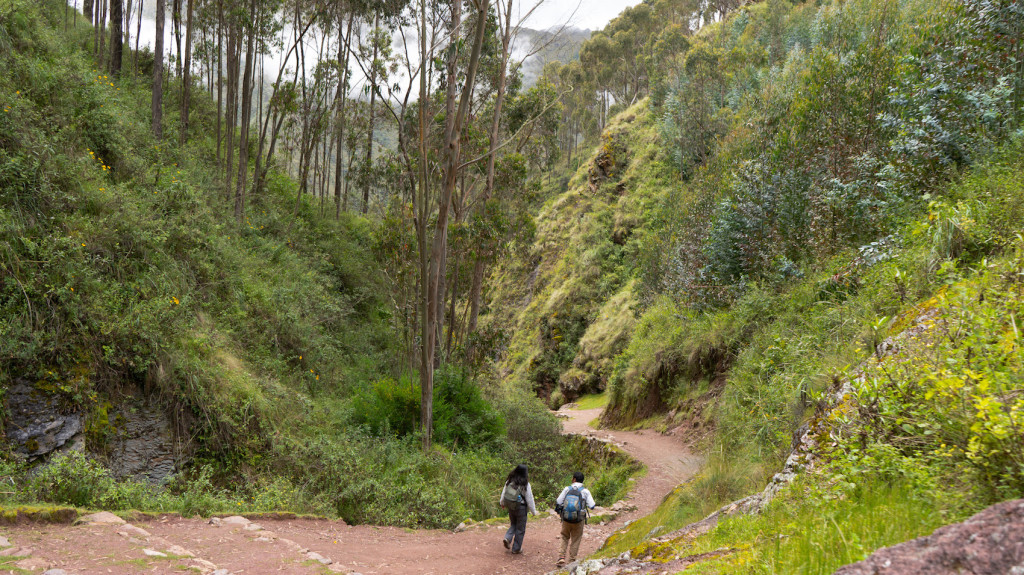Foto: Ignacio Gonzales Vigil / Curios