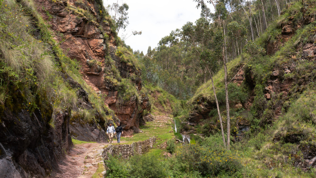 Foto: Ignacio Gonzales Vigil / Curios