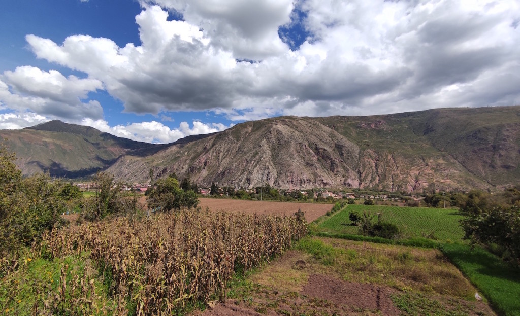 Foto: Milagros Vera Colens