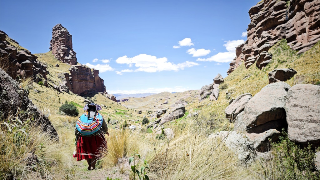 Foto: Milagros Vera Colens / Xiaomi 15 Ultra