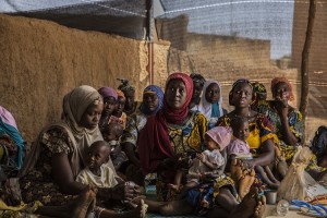 PPCSI in Tama, Niger