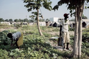 MSF Activities in Central African Republic