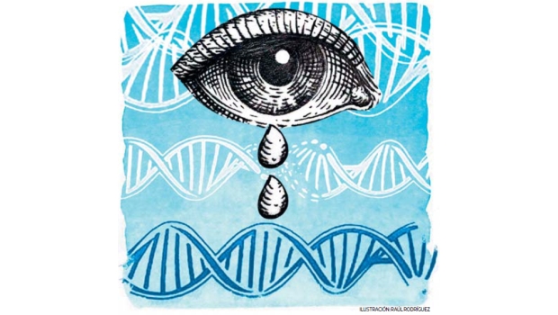 Los aproximadamente 25.000 genes que tienen los seres humanos -contenidos en sus 46 cromosomas- son las unidades de la herencia y determinan -a través de la producción de proteínas- todas las funciones celulares. En otras palabras, somos humanos, porque nuestros genes así lo determinan. Sin embargo, ¿Puede el medio ambiente modificar la función de los genes, y -si eso es así- pueden esos cambios ser pasados de generación en generación? (Ilustración: Raúl Rodríguez / El Comercio)