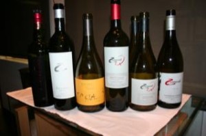 Bodega Zuccardi: Serie A Chardonnay Viognier 2011, Q Tempranillo 2010, Emma Bonarda 2011, Zeta 2010 y Malamado 2011