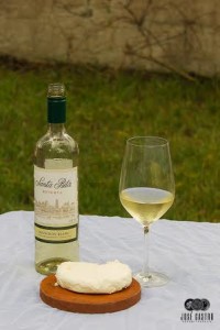 Vino Santa Rita Sauvignon Blanc y queso crema