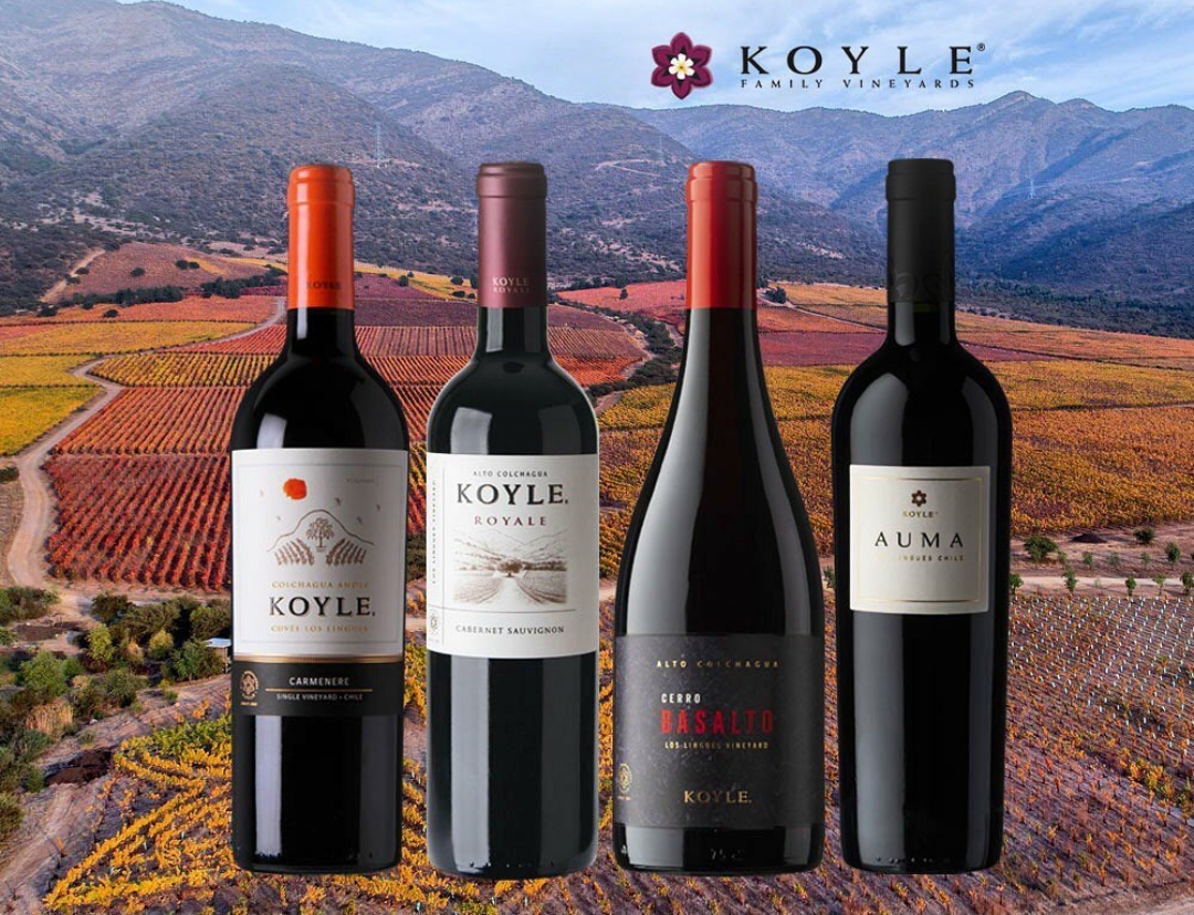 Viña Koyle, una filosofía de vida expresada en el vino