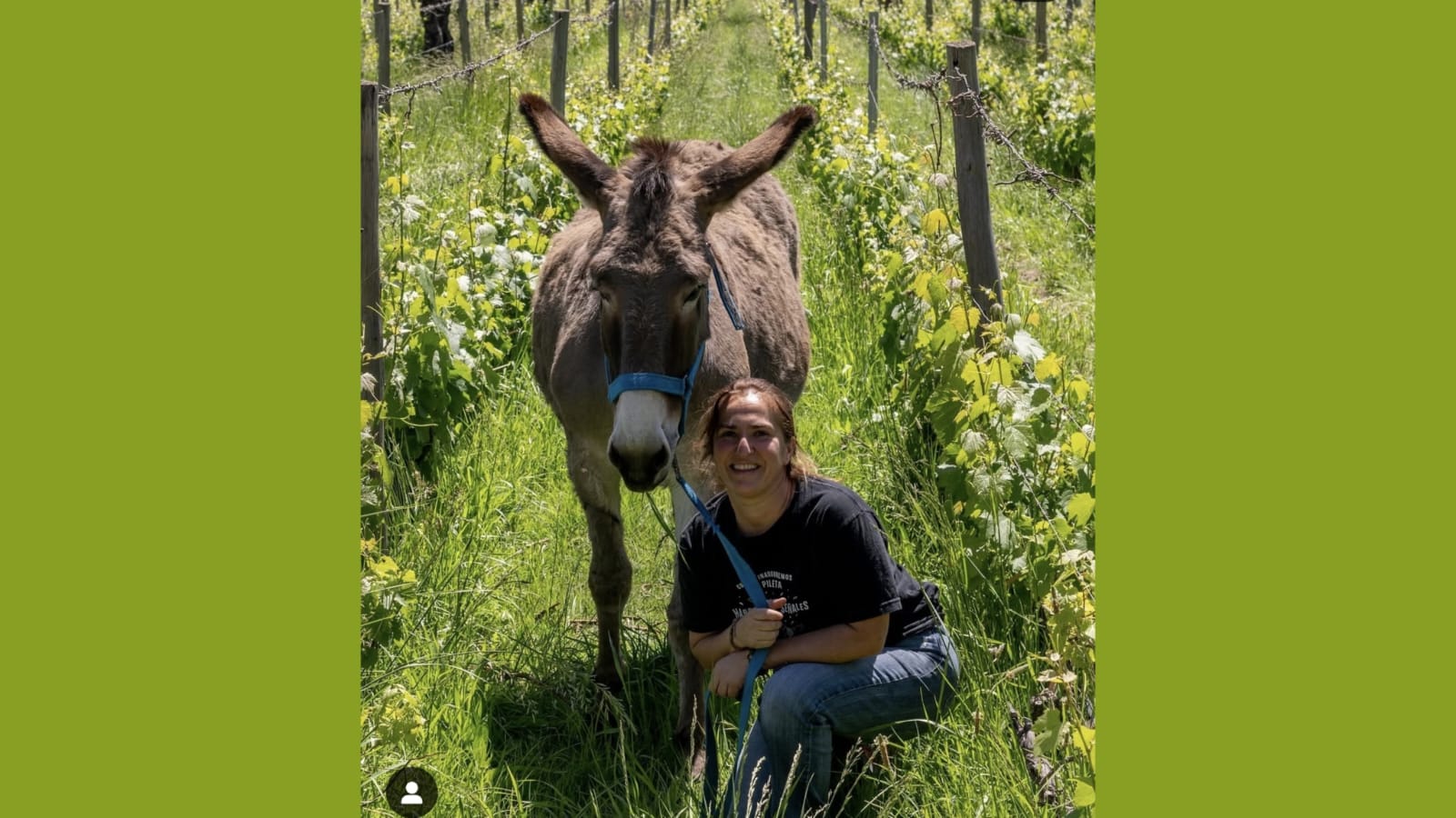 Maricruz Antolin Foto IG Krontiras