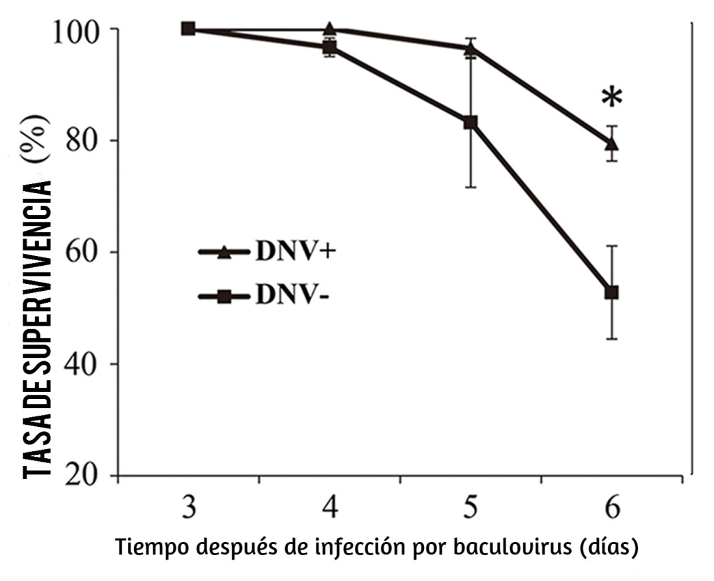 Fuente: Pengjun Xu et al. PLOS Pathogens (2014)