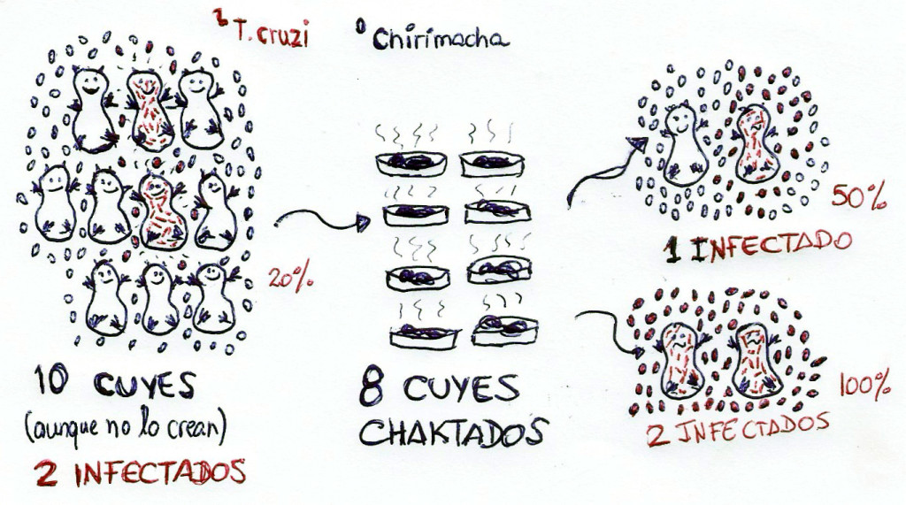 Cuellos de botella