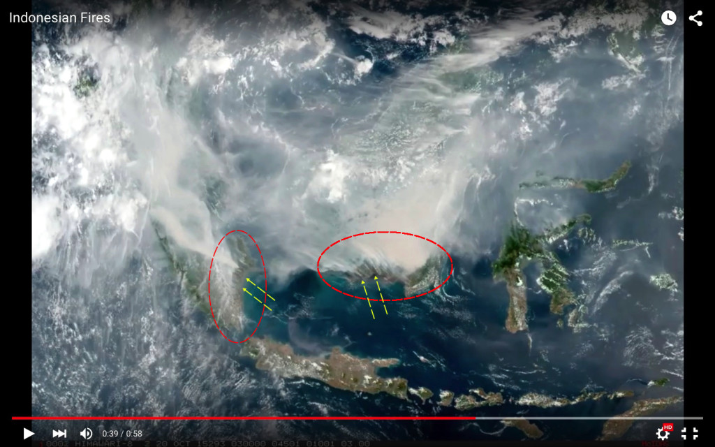 Los círculos y flechas muestran algunos de los incendios que se ven desde el espacio. Captura de YouTube.