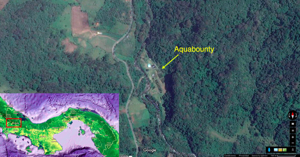 Instalaciones de Aquabounty en las montañas de Panamá.
