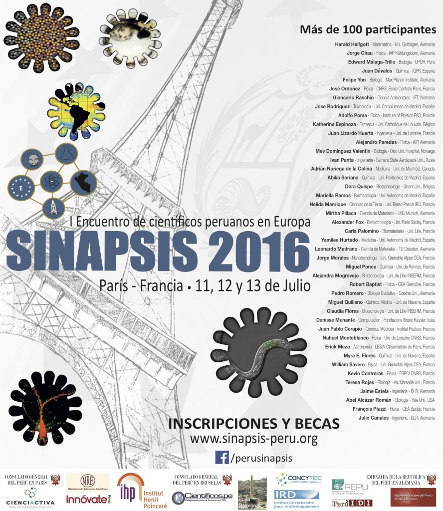 sinapsis