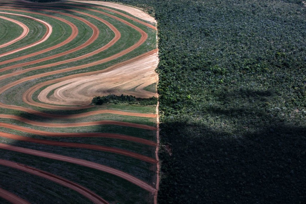 Campos de soya junto a bosques naturales en el Cerrado (Brasil). Foto: Marizilda Cruppe/Greenpeace