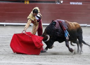 Derechazo de Juan José Padilla al cuarto de la tarde, que va fijo y metido en su muleta, metiendo bien la cara y humillando.