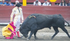 FOTO: DANTE PIAGGIO AIROSO RECORTE. Luque remata un fajo de lances soltando una punta de su capote, llevándolo toreado aparentemente sin esfuerzo.