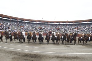 FOTO: FELIX INGARUCA Barrida de caballos de paso peruano, en el ruedo de Acho, antes de la corrida.