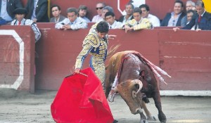 FOTO: DANTE PIAGGIO evolución. Sebastián Castella, aparte de su valor, mostró técnica lidiadora y toreo de muy buen gusto como en este derechazo.