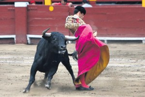 FOTO: ROLLY REYNA JOSÉ GARRIDO. El joven novillero mostró destellos de clase y buen toreo, como en esta chicuelina, pero la fuerte voltereta en su primer novillo lo dejó disminuido para continuar la lidia de dicho astado.