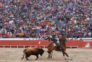 FOTO: JUAN MEDRANO CHAVARRÍA TOREO A CABALLO. El rejoneador español José Miguel Callejón en Macusani, en la corrida de ocho toros del 11 de diciembre; Callejón cortó también dos orejas.