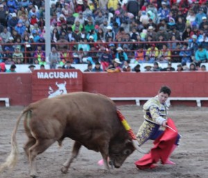 FOTO: JUAN MEDRANO CHAVARRÍA POR BAJO. El matador colombiano Cristóbal Pardo indultó al octavo toro en Macusani.