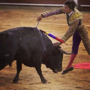 FOTO: WEB A. ROCA REY TRIUNFO EN CALI. Andrés Roca Rey, buscando las orejas a toda costa, el 26 de diciembre, en la novillada inaugural de la feria.