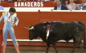 FOTO: CAPTURA DE PANTALLA Arrimón, montándose sobre el octavo novillo, que se refugió en tablas.