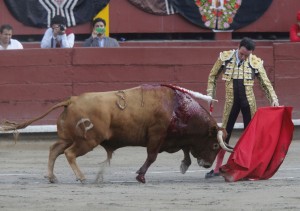 FOTO: DANTE PIAGGIO BODAS DE PLATA. Enrique Ponce, salvo algún contratiempo de última hora, estará en Sevilla este año.