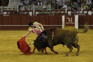 FOTO: ARCHIVO DEL NOVILLERO MÁLAGA, 2014. En esta plaza de primera, Galdós se presentó con caballos el año pasado y triunfó ante serios novillos. Conforme avance en su carrera, todo será cada vez más complicado y difícil.