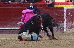 FOTO: WEB PLAZA DE TOROS DE VALENCIA JUGARSE LA VIDA. Valencia 2014; incluso maestros como Ponce, no están libres de poder perder la vida en el ruedo.