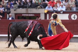 FOTO: PÁG WEB PLAZA DE LAS VENTAS PERSONALIDAD. Concepto del toreo de José Tomás, que se extraña en plazas importantes y ante toros serios.