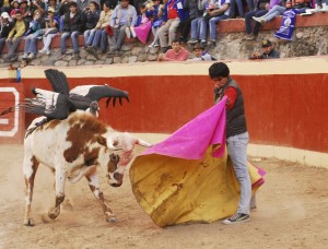 FOTO: LUIS HERENCIA CULTURA Y MESTIZAJE. El cóndor sobre la res y los lances de los aficionados: amalgama de culturas, esencia del alma mestiza del Perú.