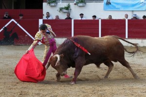 FOTO: BRUNO LASNIER SERIO ASTADO. La novillada que mató ayer Joaquín Galdós fue seria y complicada; parecían toros para una plaza de primera.