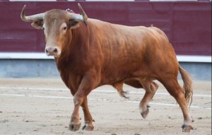 FOTO: PAG WEB PLAZA DE LAS VENTAS EL TORO. Rey de la Fiesta; sin su trapío y bravura, no hay nada.