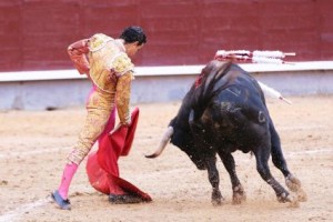 FOTO: CHELE ORTIZ TRINCHERAZO. Costó mucho sujetar a alguno de los novillos, que como el segundo de Galdós, querían refugio en tablas. 