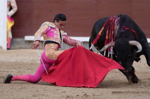 FOTO: PÁG WEB PLAZA DE TOROS DE LAS VENTAS ENTREGA. Joaquín Galdós, joven novillero peruano, metiendo en muleta al serio novillo, ayer en Madrid; las ganas de los dos toreros se estrellaron contra la mansedumbre de los astados, que deslucieron la tarde y apagaron la ilusión de los diestros.