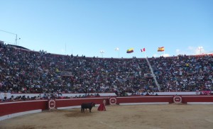 FOTO: PABLO J. GÓMEZ DEBARBIERI NO CABE UN ALFILER. Así de impresionantes son los llenos en todas las corridas de la feria de Chota; una afición así de fiel, merece la mejor y más esmerada organización posible.