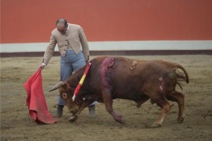 FOTO: LULA CEBRECOS TOREO SEVILLANO. El de José Franco Cadena, en el festival por las Bodas de Plata de la alternativa de Flavio Carrillo.