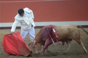 FOTO: LULA CEBRECOS ANÍBAL VÁSQUEZ. Torero y ganadero peruano, toreó con clase y buen gusto al indultado novillo melocotón de su ganadería.